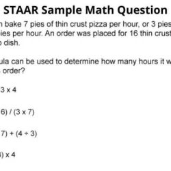 Us history staar study guide