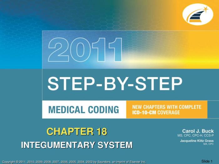 Chapter 18 the integumentary system