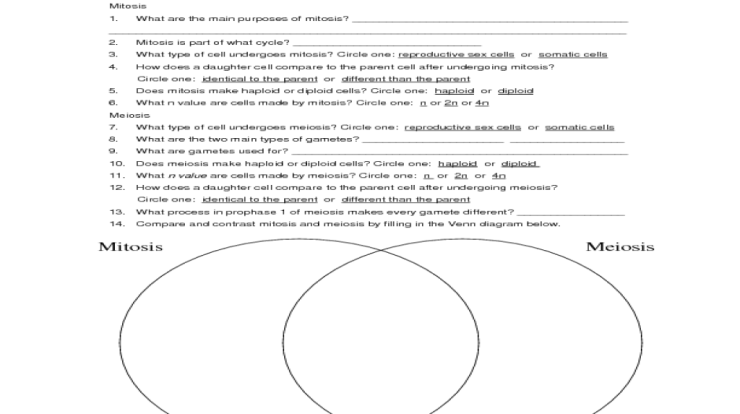 Mitosis versus meiosis worksheet answer key