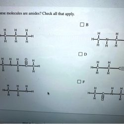 Molecules amines check which these apply transcribed text show